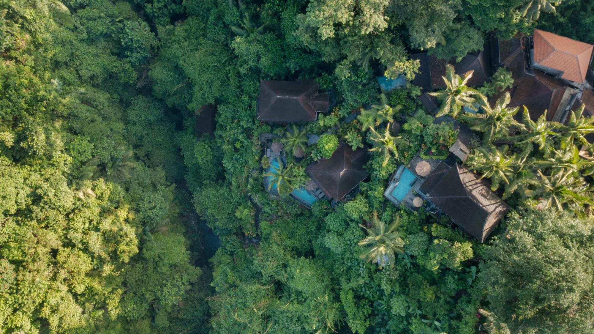 Bidadari Private Villas & Retreat Ubud Exterior foto