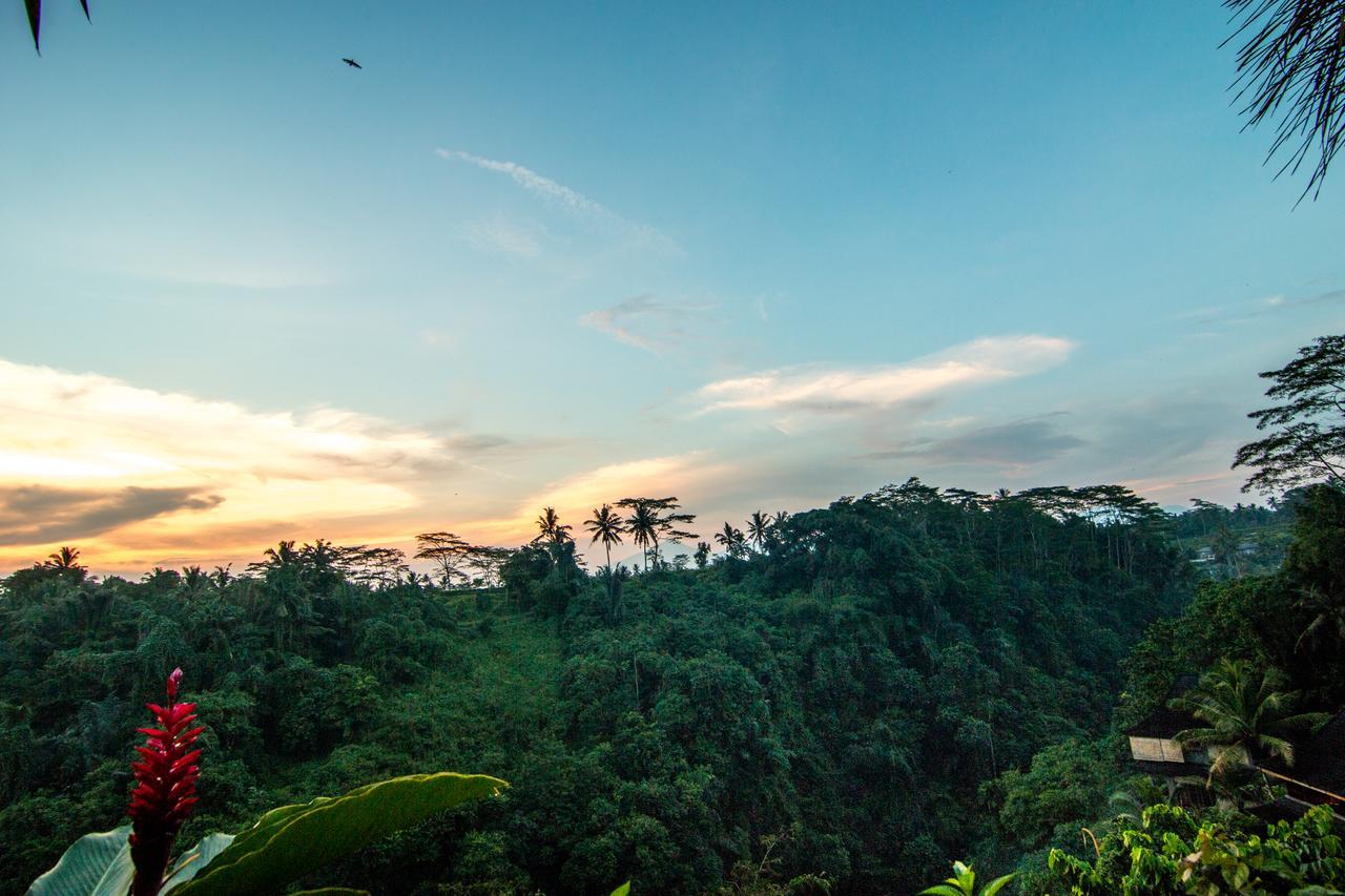 Bidadari Private Villas & Retreat Ubud Exterior foto